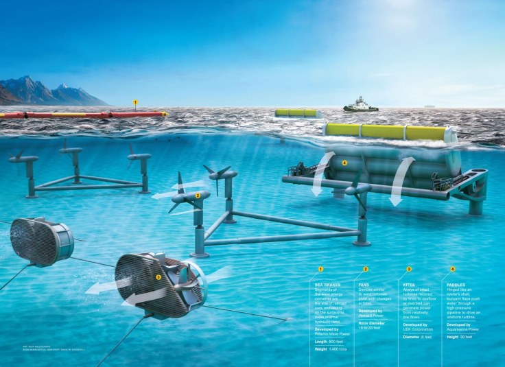 Tidal energy is a renewable energy powered by the natural rise and fall of ocean tides and currents. Illustration by Nick Kaloterakis, National Geographic